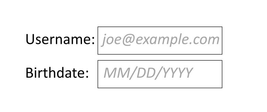 Example of a placeholder, with input forms that say 'Username' and 'Birthday'.
